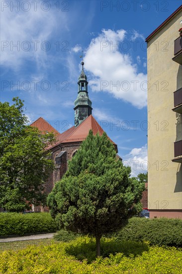 Roman Catholic Franciscan Church, parish church of St Francis of Assisi and St Peter of Alcantara in Namyslow (Namslau), Opole Voivodeship, Poland, Europe