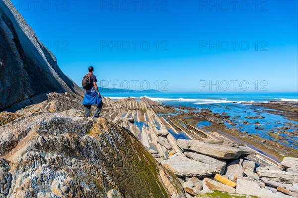 A man next to the marine vegetation in Algorri cove on the coast in the flysch of Zumaia, Gipuzkoa. Basque Country