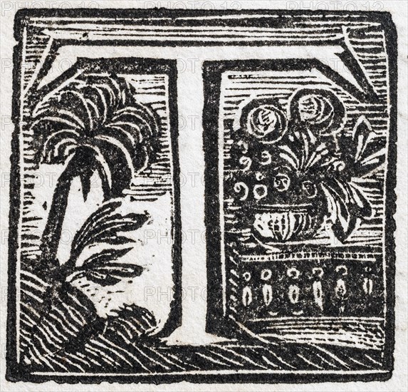 Initial or an initial T, decorative initial letter, woodcut, Mark Catesby, Natural History of Carolina, Florida and the Bahama Islands, 1754