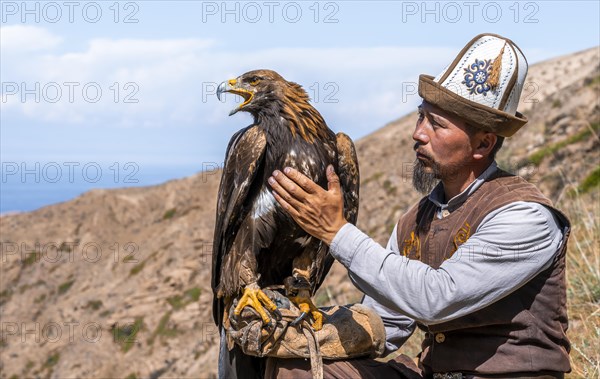 Traditional Kyrgyz eagle hunter with eagle in the mountains, hunting, near Bokonbayevo, Issyk Kul region, Kyrgyzstan, Asia