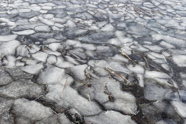 Winter, ice pattern formation, Chateauguay River, Province of Quebec, Canada, North America