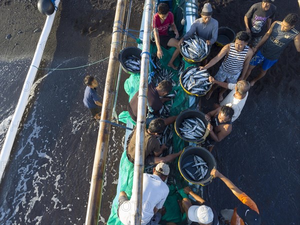 Fishermen unload their catch from their outrigger boat in the morning. Amed, Karangasem, Bali, Indonesia, Asia