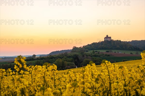 Landscape at sunrise. Beautiful morning landscape with fresh yellow rape fields in spring. Small castle in the yellow fields on a hill. Historic Ronneburg Castle in the middle of nature, Ronneburg, Hesse, Germany, Europe