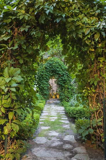 Grey flagstone path through arbours covered with climbing Vitis, Vines in backyard garden at dusk in summer, Quebec, Canada, North America
