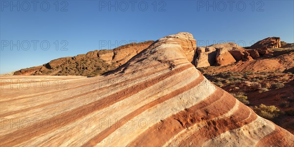 Fire Wave, Valley of Fire State Park, Nevada, United States, USA, Valley of Fire, Nevada, USA, North America