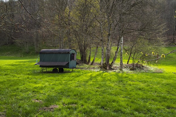 Shepherd's cart in a meadow in the Wiesaztal valley in the Swabian Alb near Goenningen, Baden-Wuerttemberg, Germany, Europe