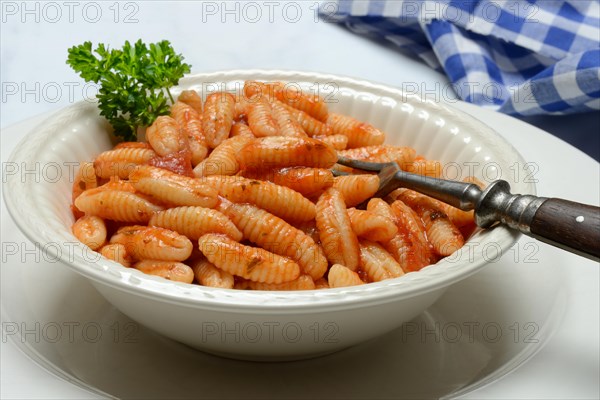 Malloreddus, Sardinian gnocchetti with tomato sauce in a plate, traditional pasta variety from Sardinia, Italy, Europe