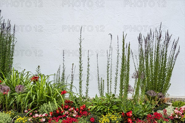 Colourfully planted small rock garden in front of a white wall