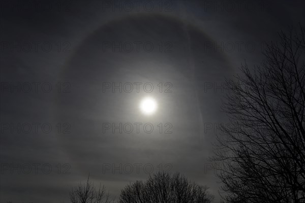 Nature, astronomy, halo during the total solar eclipse 2024, Province of Quebec, Canada, North America