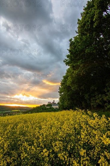 Landscape at sunrise. Beautiful morning landscape with fresh yellow rape fields in spring. Small castle in the yellow fields on a hill. Historic Ronneburg Castle in the middle of nature, Ronneburg, Hesse, Germany, Europe