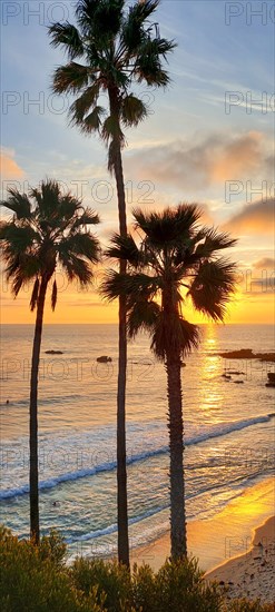 A sunset over the ocean with palm trees in the foreground. The sky is a mix of orange and pink hues, creating a warm and serene atmosphere