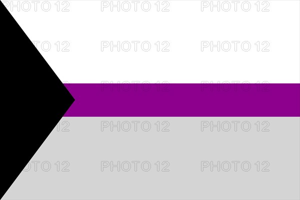 Illustration of the Demisexual Pride Flag. Symbol of sexual minorities