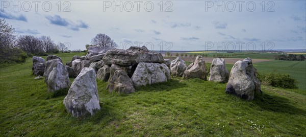 Luebbensteine, two megalithic tombs from the Neolithic period around 3500 BC on the Annenberg near Helmstedt, here the northern grave B (Sprockhoff no. 315), Helmstedt, Lower Saxony, Germany, Europe