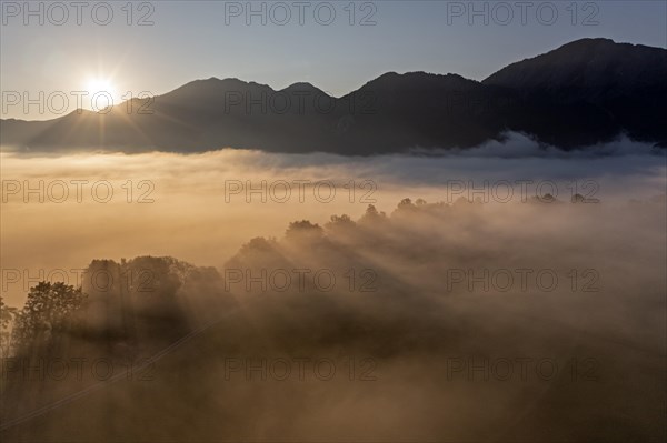 Aerial view, fog in front of mountains, sunrise, backlight, summer, view of Kochler mountains with Jochberg, Alpine foothills, Bavaria, Germany, Europe
