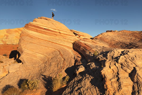 Fire Wave, Valley of Fire State Park, Nevada, United States, USA, Valley of Fire, Nevada, USA, North America