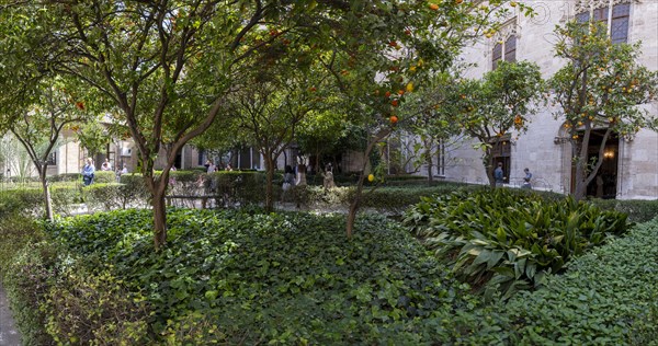 Inner courtyard with orange trees, Lonja de la Seda Palace, Silk Exchange, UNESCO World Heritage Site, Valencia, Spain, Europe