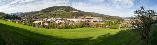 Cows grazing in front of the Donawitz steelworks of voestalpine AG, panoramic view, Donawitz district, Leoben, Styria, Austria, Europe