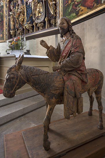 Hersbrucker Palmesel, carved from 16th century lime wood, on loan from the German National Museum in Nuremberg, to St John's Church in Hersbruck, Middle Franconia, Bavaria, Germany, Europe