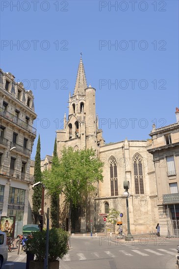 Church of Saint Pierre, Avignon, Vaucluse, Provence-Alpes-Cote d'Azur, South of France, France, Europe