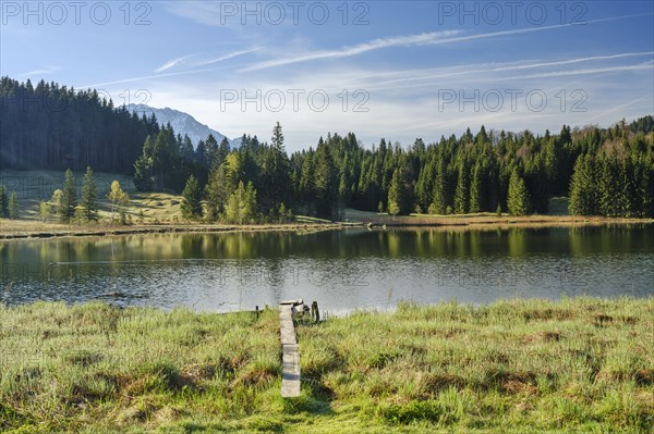 In the morning at Geroldsee or Wagenbruechsee, Kruen near Mittenwald, Werdenfelser Land, Upper Bavaria, Bavaria, Germany, Europe