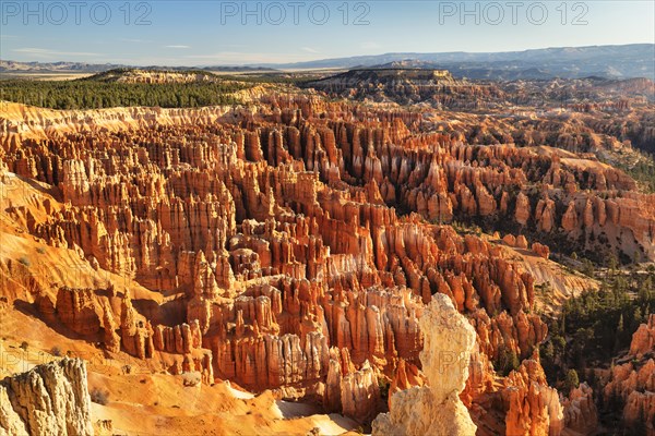 Bryce Amphitheatre at sunset, Bryce Canyon National Park, Colorado Plateau, Utah, United States, USA, Bryce Canyon, Utah, USA, North America