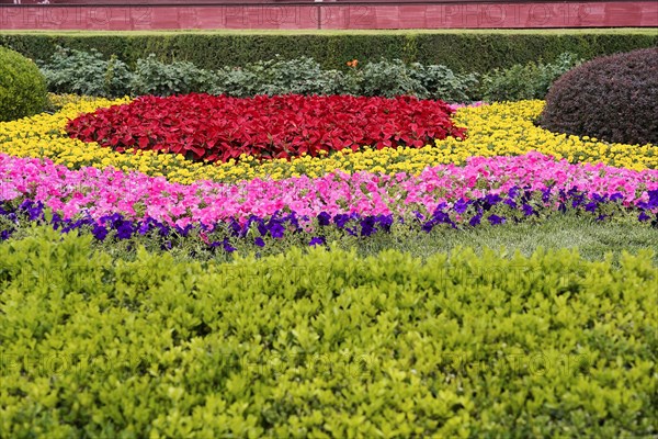 China, Beijing, Forbidden City, UNESCO World Heritage Site, Colourful flowers and green plants in the garden of the Forbidden City, Asia