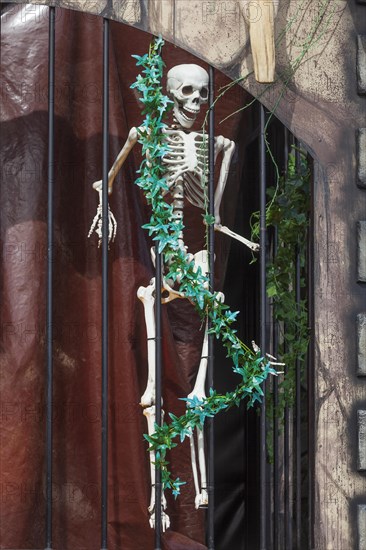 Skeleton with skull on a ghost train, decoration, figure at the Bremen Easter Fair, Buergerweide, Bremen, Germany, Europe