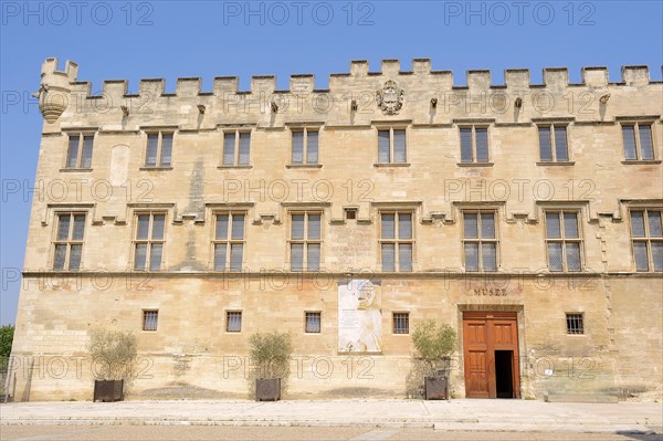 Museum 'Musee du Petit Palais', Avignon, Vaucluse, Provence-Alpes-Cote d'Azur, South of France, France, Europe