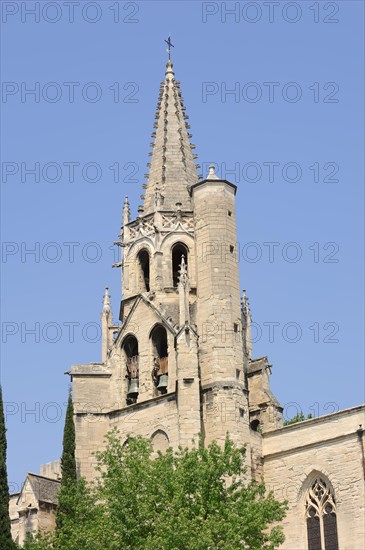 Church of Saint Pierre, Avignon, Vaucluse, Provence-Alpes-Cote d'Azur, South of France, France, Europe