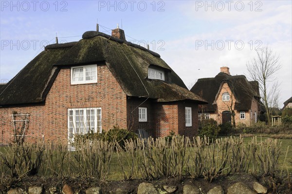 Sylt, North Frisian Island, Schleswig Holstein, Traditional thatched-roof house with brickwork and a bare garden under a blue sky, Sylt, North Frisian Island, Schleswig Holstein, Germany, Europe