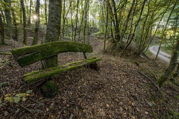 Weathered, rotten and mossy bench made of rough wooden planks, autumn leaves, sun star, forest path, beech forest, Raumertswald, volcano, Vogelsberg Volcano Region nature park Park, rest area, Nidda, Wetterau, Hesse, Germany, Europe