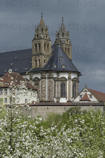 View of the Comburg, fruit blossom, fruit tree, spring, April, Way of St James, Benedictine monastery, monastery, Benedictine order, castle, Schwaebisch Hall, Kocher valley, Kocher, Hohenlohe, Heilbronn-Franken, Baden-Wuerttemberg, Germany, Europe