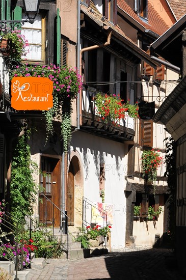 Eguisheim, Alsace, France, Europe, Inviting restaurant in a half-timbered house with blooming flowers on the facade, Europe