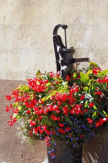 Kaysersberg, Alsace Wine Route, Alsace, Departement Haut-Rhin, France, Europe, Old black water pump decorated with a colourful flower pot, Europe