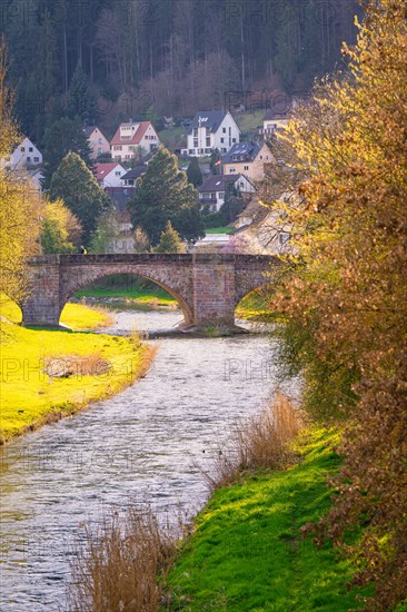 An old stone bridge over a river with a view of houses on the bank, spring, Calw, Black Forest, Germany, Europe