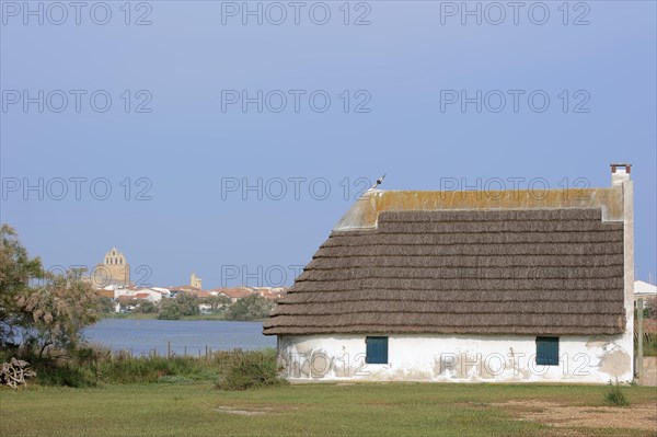 House, Saintes-Maries-de-la-Mer, Camargue, Bouches-du-Rhone, Provence-Alpes-Cote d'Azur, South of France, France, Europe