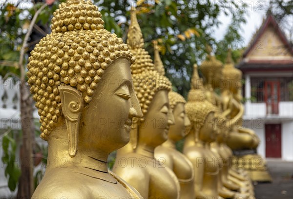 Row of gilded Buddha statues, Wat That Luang, Luang Prabang, Laos, Asia