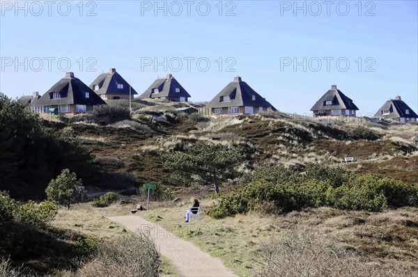 Houses, Hoernum, Sylt, North Frisian Island, A collection of traditional thatched-roof houses in a dune landscape under a blue sky, Sylt, North Frisian Island, Schleswig Holstein, Germany, Europe