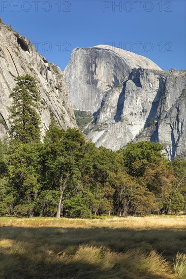 Half Dome, Yosemite National Park, California, United States, USA, Yosemite National Park, California, USA, North America