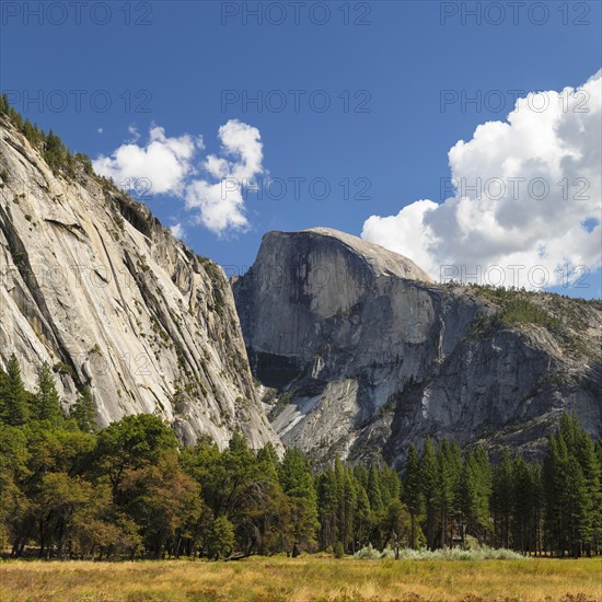 Half Dome, Yosemite National Park, California, United States, USA, Yosemite National Park, California, USA, North America