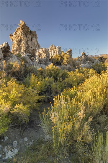 Tufa formations at Mono Lake, Mono Lake Tufa State Reserve, California, USA, Mono Lake Tufa State Reserve, California, USA, North America