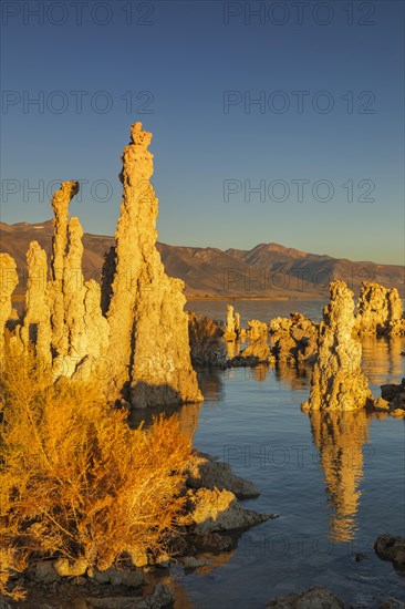 Tufa formations at Mono Lake at sunrise, Mono Lake Tufa State Reserve, California, USA, Mono Lake Tufa State Reserve, California, USA, North America