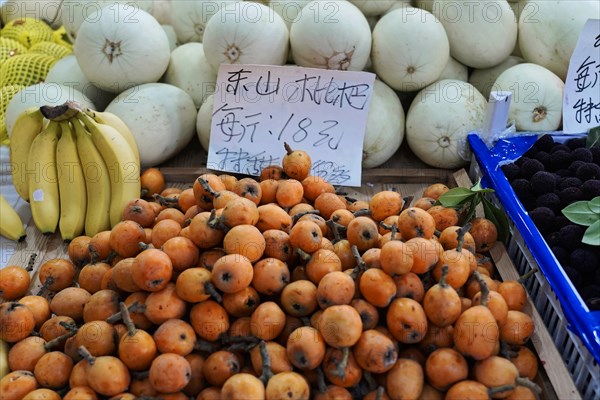 Shanghai, China, Asia, Various fruits such as persimmons, bananas and melons with price tags at a market, People's Republic of China, Asia
