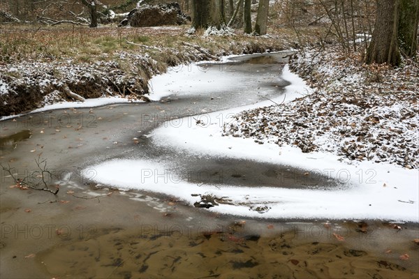 Rotbach, near-natural stream, beech forest, with ice and snow, between Bottrop and Oberhausen, Ruhr area, North Rhine-Westphalia, Germany, Europe