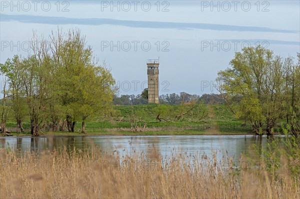 Former watchtower of the GDR, watchtower, trees, reeds, water, Elbe, Elbtalaue near Bleckede, Lower Saxony, Germany, Europe