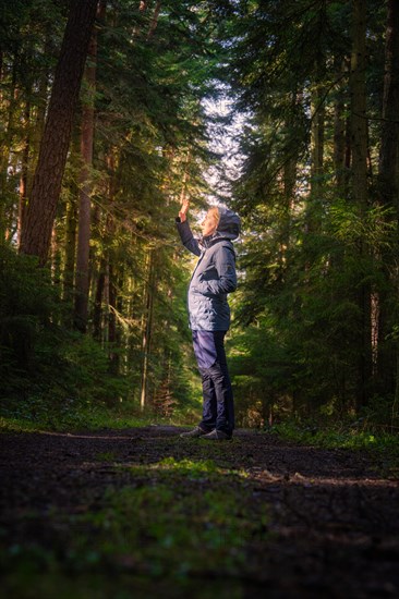 A hiker raises his hand in greeting or to block the sunlight in the dense forest, Calw, Black Forest, Germany, Europe