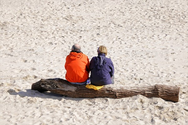 On the beach, Hoernum, Sylt, North Frisian Island, Schleswig Holstein, Two people sit on a driftwood on the beach and enjoy the time together, Sylt, Schleswig-Holstein, Germany, Europe