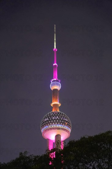 Oriental Pearl Tower, Pudong, Shanghai, China, Asia, Tower illuminated in purple behind treetops at night, Shanghai, People's Republic of China, Asia