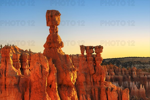 Thor's hammer at sunrise, Bryce Canyon National Park, Utah, USA, Bryce Canyon, Utah, USA, North America