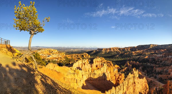 View from Sunset Point, Bryce Canyon National Park, Colorado Plateau, Utah, United States, USA, Bryce Canyon, Utah, USA, North America